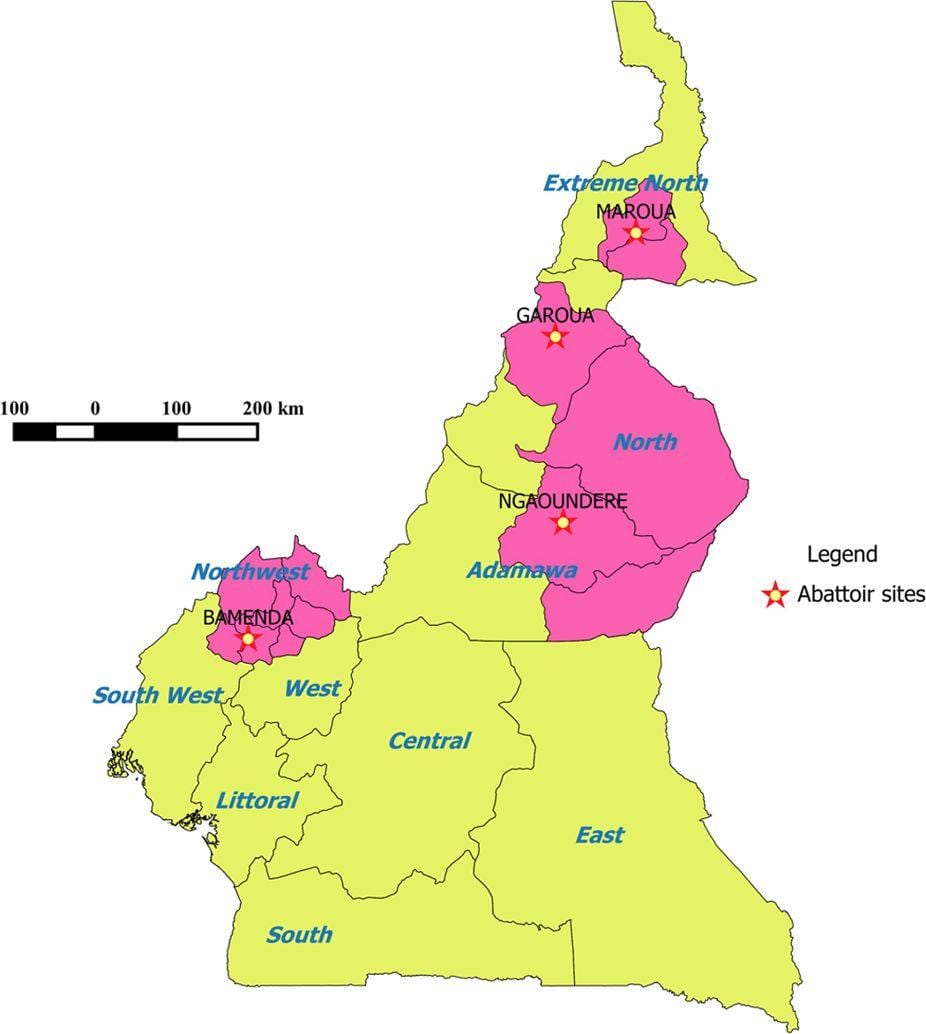 கமரூன் காட்டும் பகுதிகள் வரைபடம்